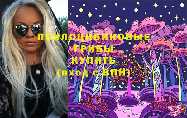 амфетамин Каменка