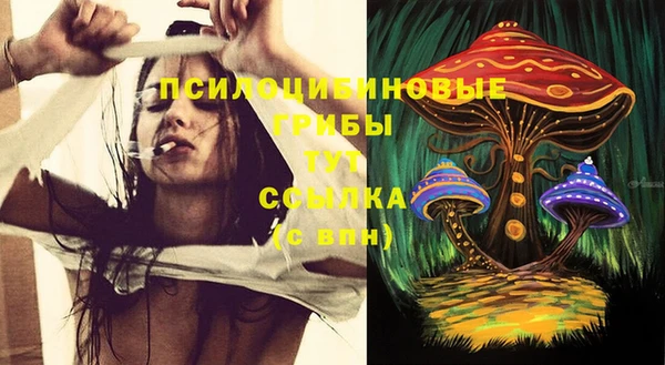 бошки Каменск-Шахтинский
