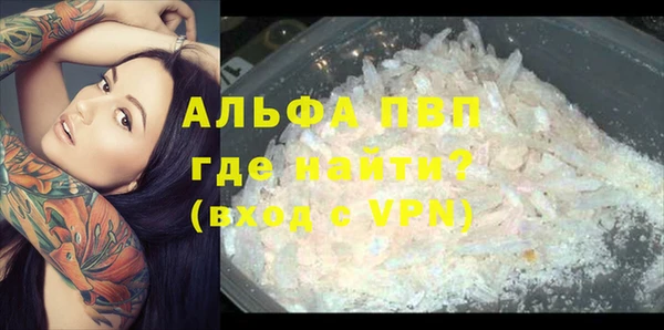 каннабис Каменногорск