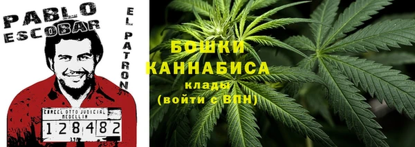 молекула духа Касимов